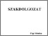 [thumbnail of 778113821.pdf]